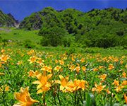 槍ヶ岳登山情報