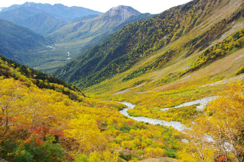 岳沢の紅葉・黄葉