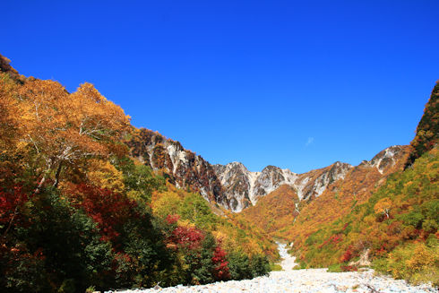 槍沢の紅葉2