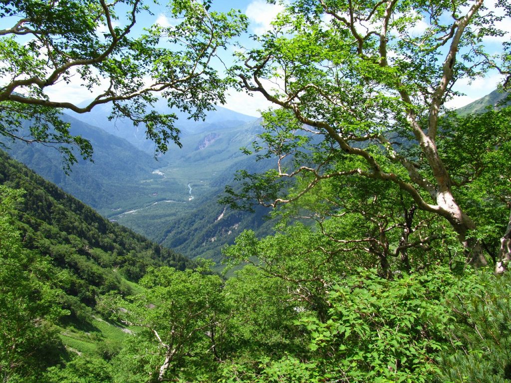 岳沢 奥穂高岳 各登山道状況 22日営業開始します 岳沢小屋 槍ヶ岳山荘グループ