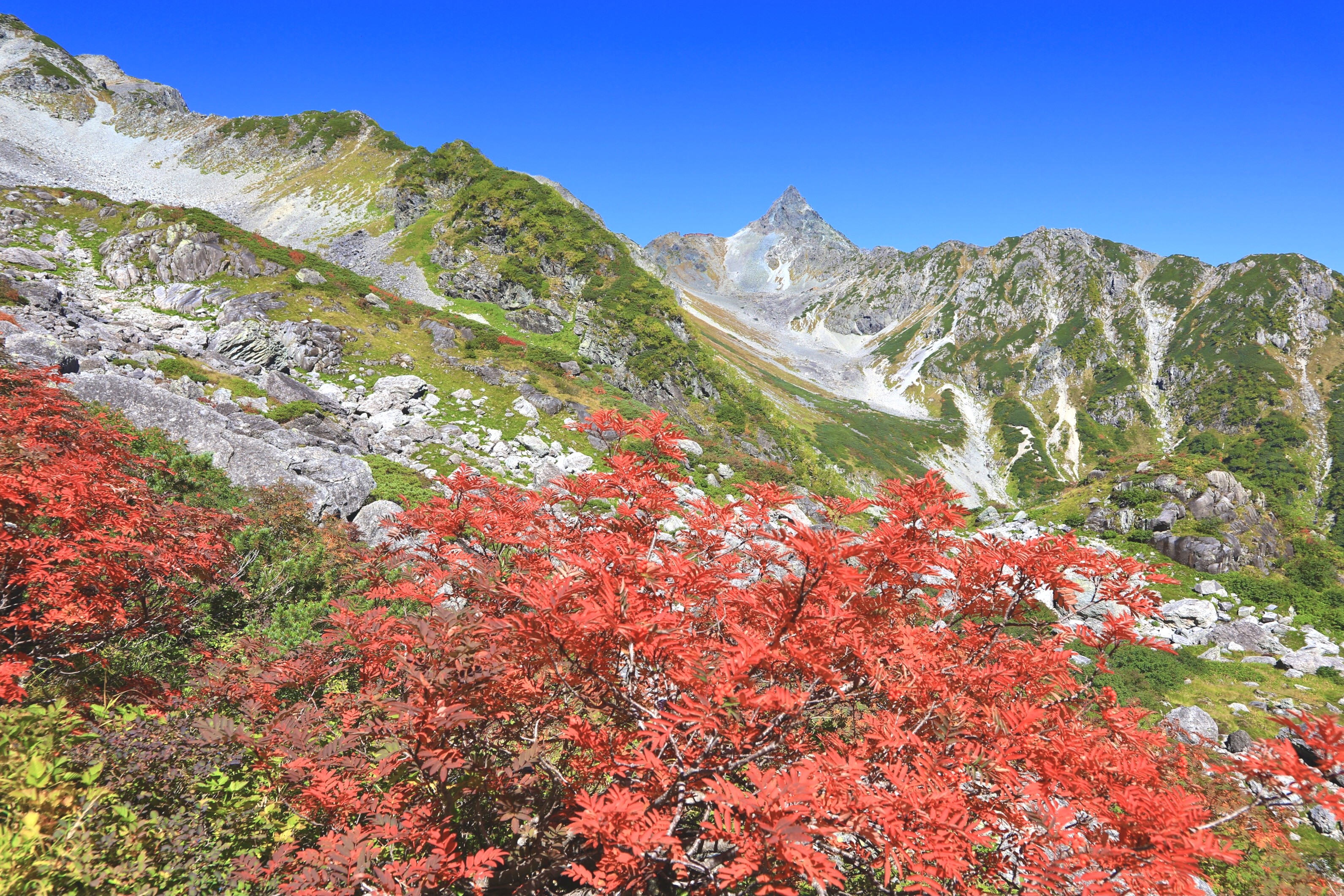 紅葉情報 vol. 1～紅葉始まる～ | 槍沢ロッヂ | 槍ヶ岳山荘グループ