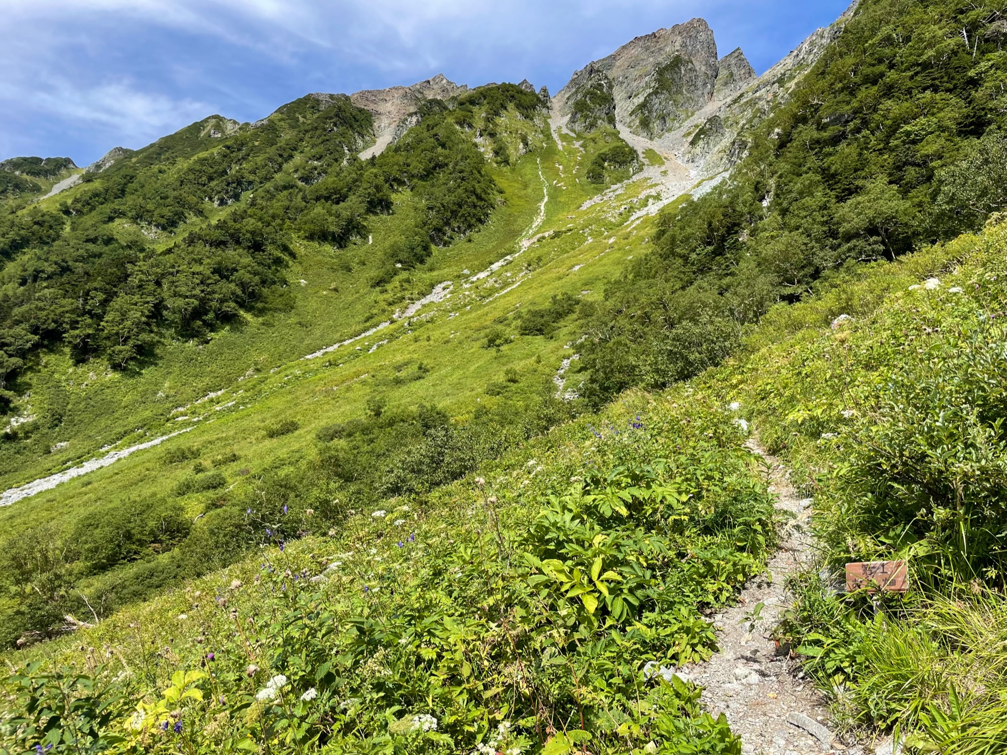 天狗沢お花畑、見頃まもなく終了のお知らせ | 岳沢小屋 | 槍ヶ岳山荘