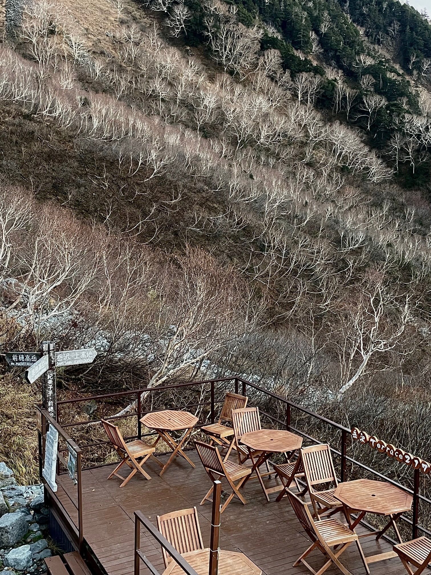 白い幹の林へ | 岳沢小屋 | 槍ヶ岳山荘グループ