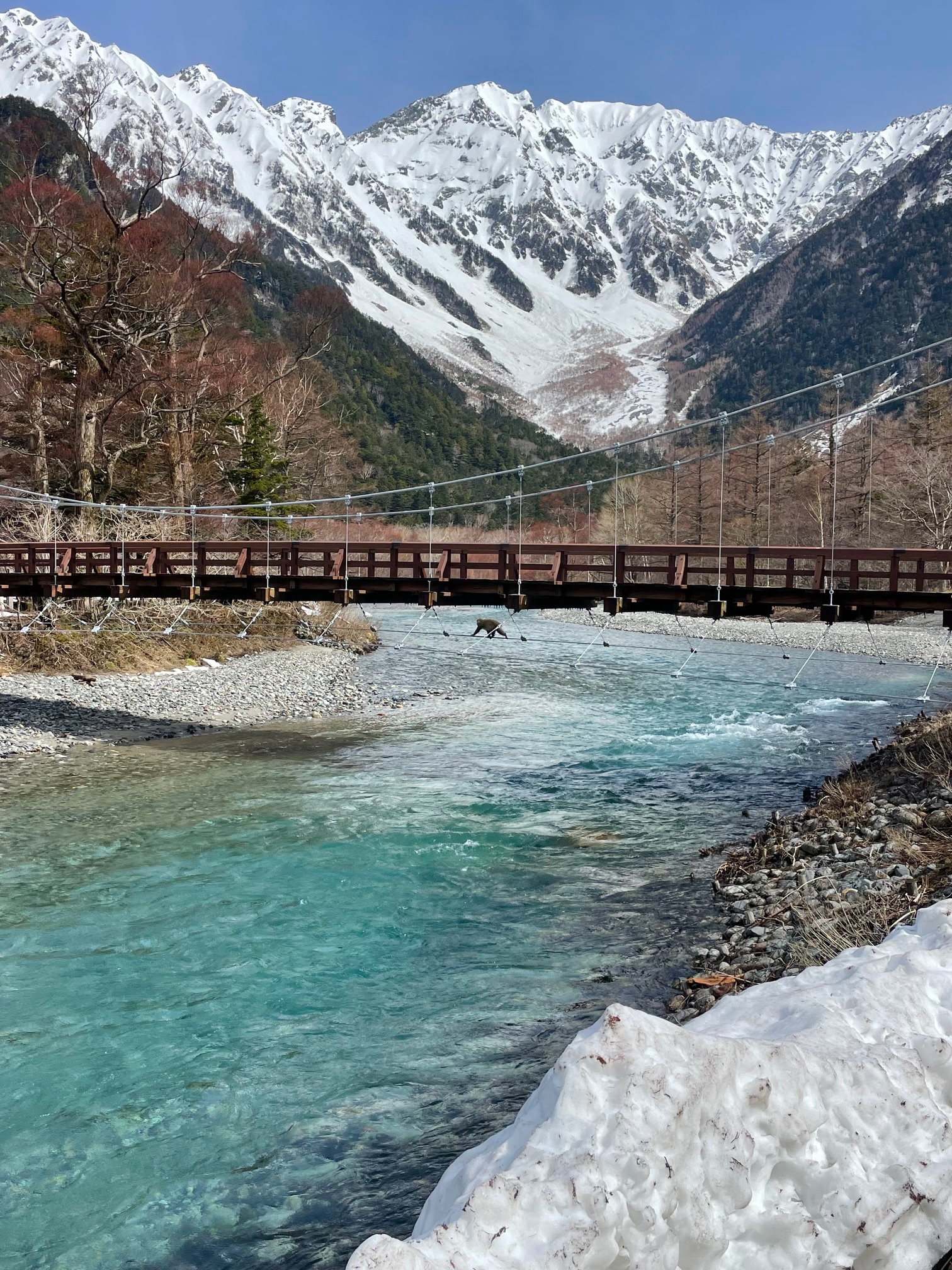 残雪状況（上高地～岳沢中間） | 岳沢小屋 | 槍ヶ岳山荘グループ