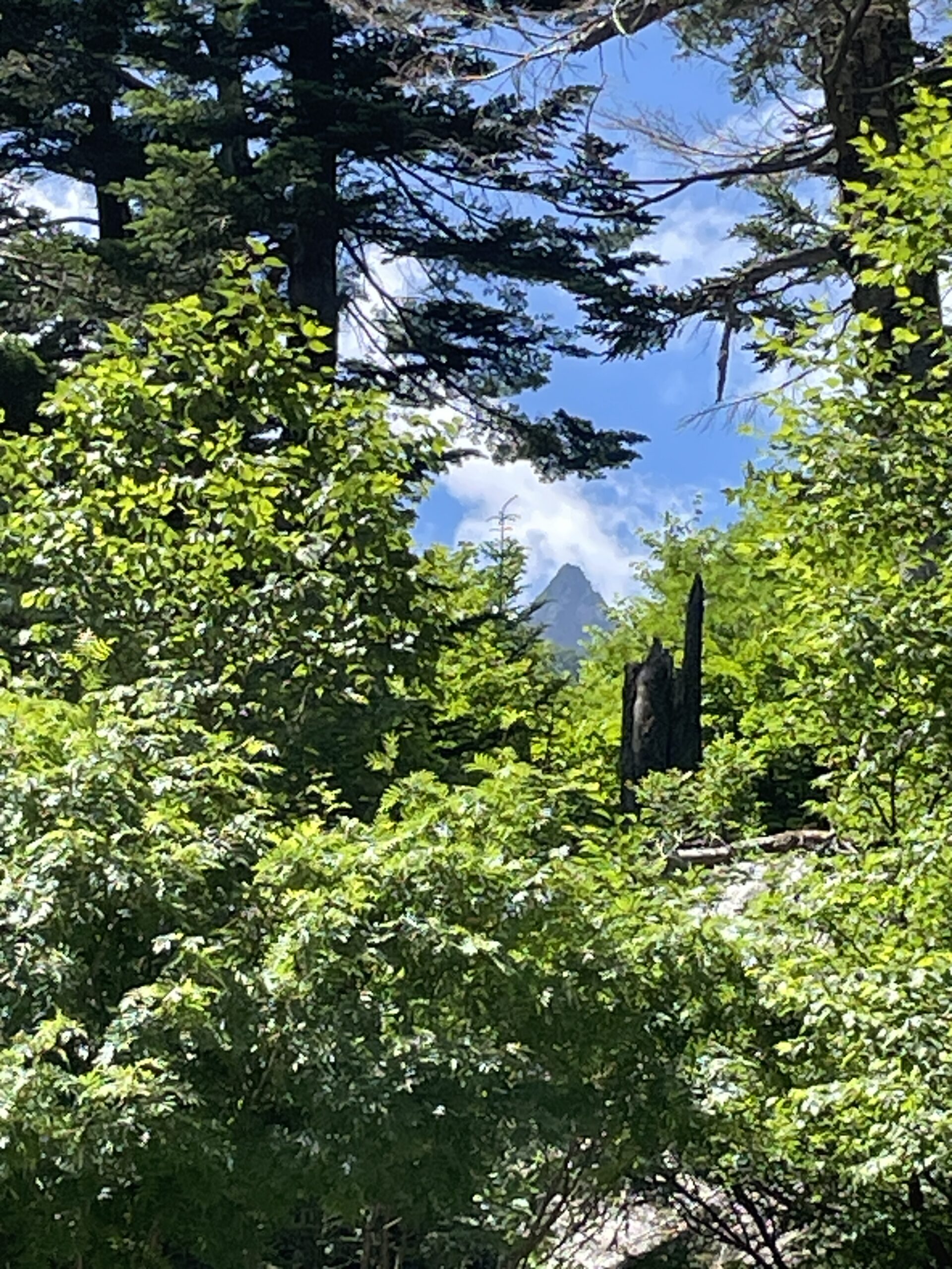 はじめまして | 槍沢ロッヂ | 槍ヶ岳山荘グループ