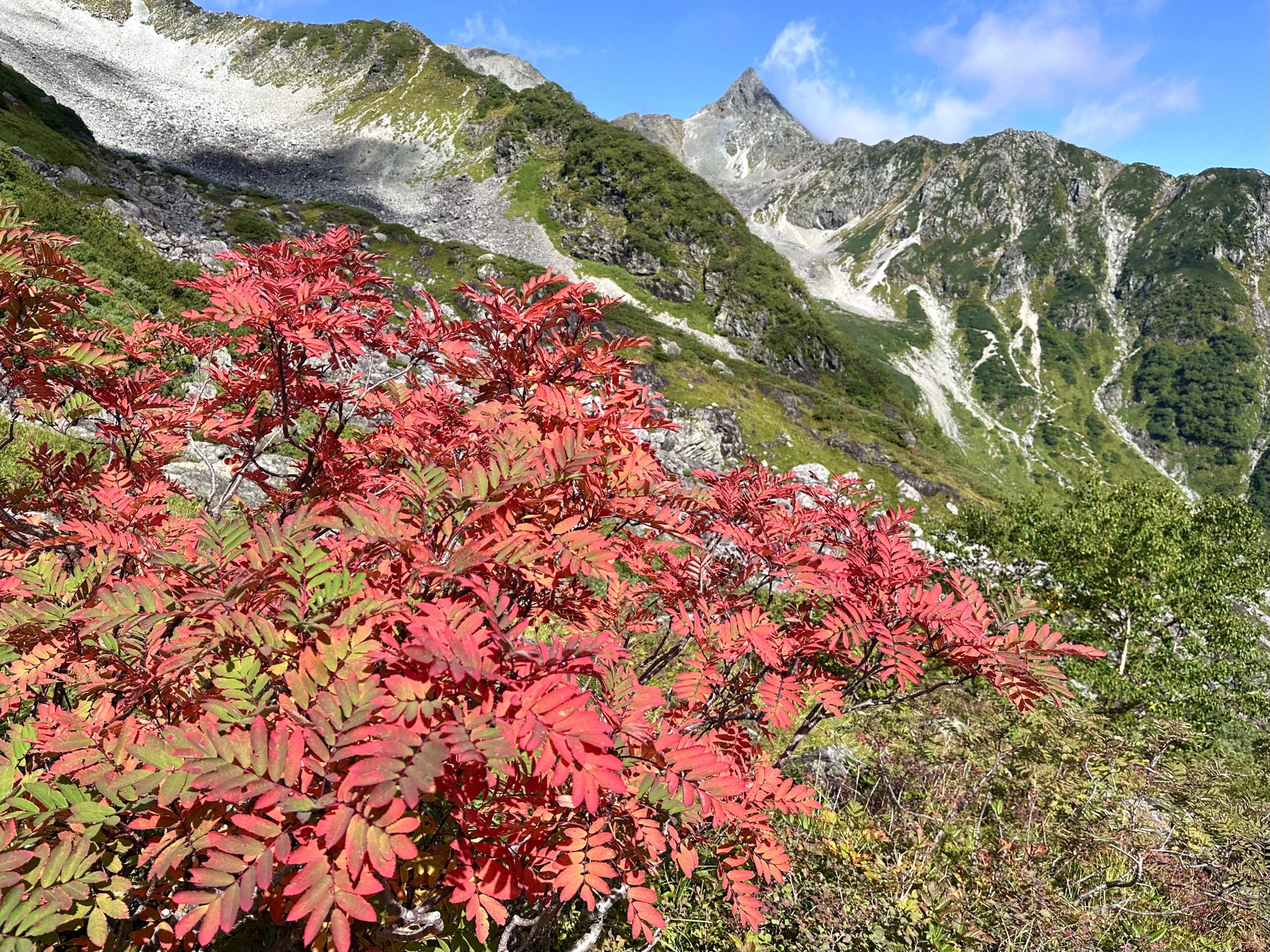征露岳南武鑑 上 3連休最終日 | 南岳小屋 | 槍ヶ岳山荘グループ