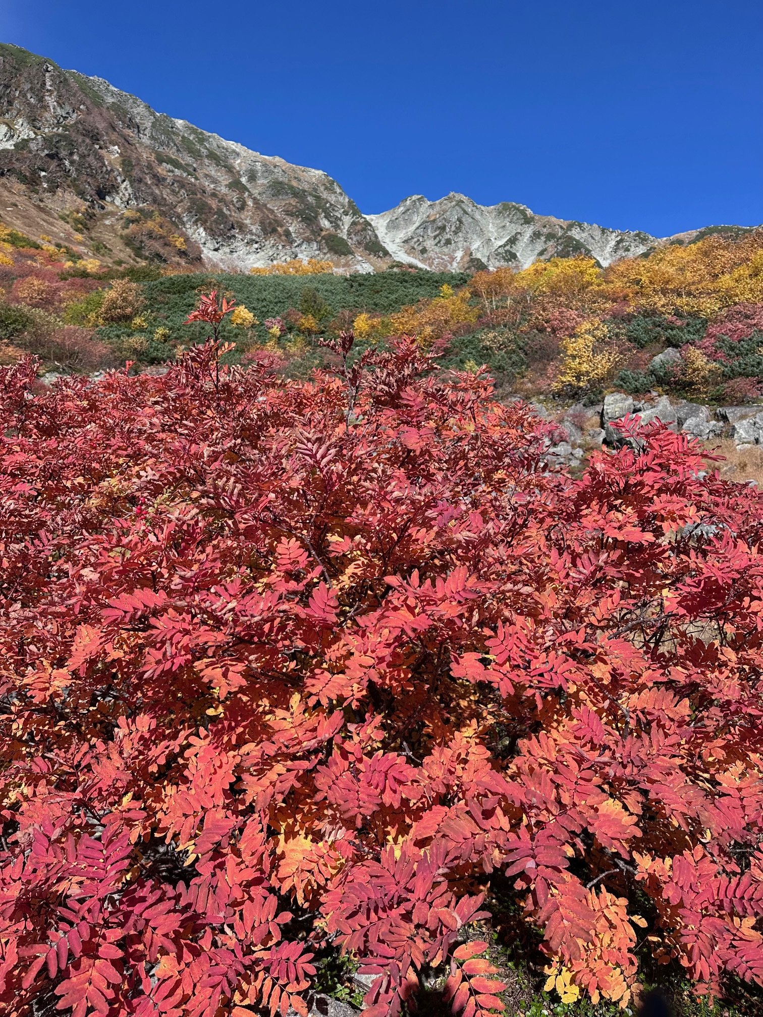 紅葉最終報（横尾本谷右俣） | 南岳小屋 | 槍ヶ岳山荘グループ